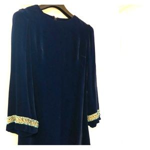Blue Velvet Vintage Dress